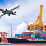 Entenda a Importância do Certificado Fitossanitário no Comércio Exterior comex-5