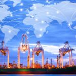 Como interpretar certificados fitossanitários em inglês comex-8